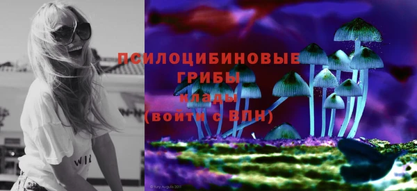 ПСИЛОЦИБИНОВЫЕ ГРИБЫ Алексеевка
