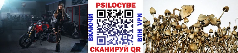 Галлюциногенные грибы Cubensis  Феодосия 