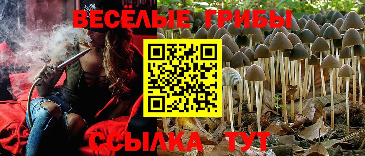 Псилоцибиновые грибы Magic Shrooms  Псилоцибиновые грибы ЛСД  Феодосия  Вход с VPN 